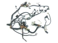 Faisceau electrique