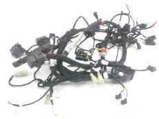 Faisceau electrique