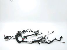 Faisceau electrique