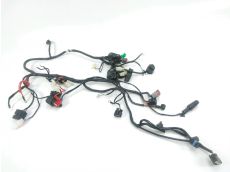 Faisceau electrique