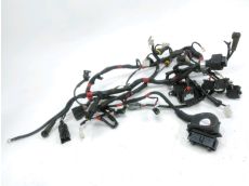 Faisceau electrique