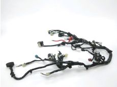 Faisceau electrique