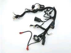 Faisceau electrique