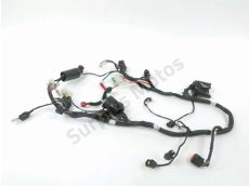 Faisceau electrique