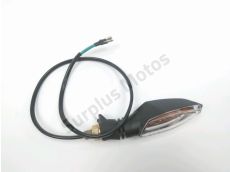 Clignotant arriere d