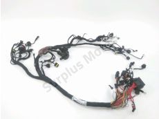 Faisceau electrique