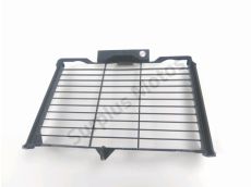 Grille de radiateur