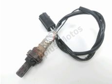 Sonde lambda