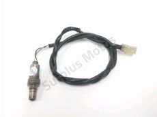 Sonde lambda