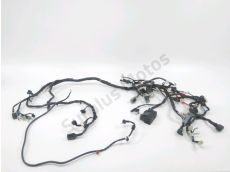 Faisceau electrique