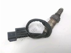 Sonde lambda