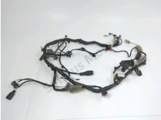 Faisceau electrique