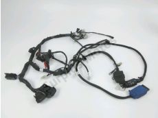 Faisceau electrique