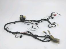 Faisceau electrique