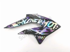 Carenage avant droit