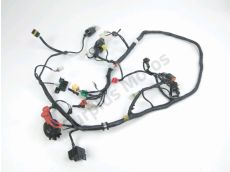 Faisceau electrique