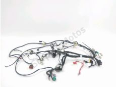 Faisceau electrique