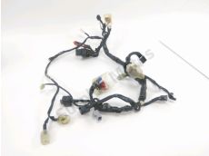 Faisceau electrique
