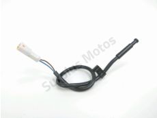 Sonde