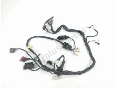 Faisceau electrique