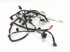 Faisceau electrique