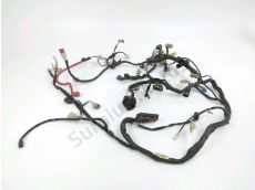 Faisceau electrique