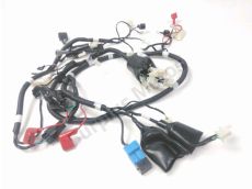 Faisceau electrique