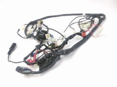 Faisceau electrique