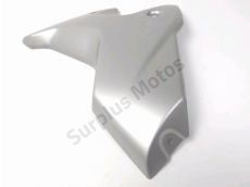 Sous face de carenage gauche