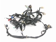 Faisceau electrique