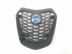 Grille de radiateur