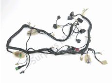 Faisceau electrique