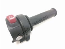 Accelerateur ride by wire