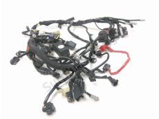 Faisceau electrique