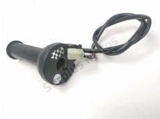 Accelerateur ride by wire