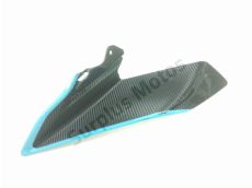 Sous face de carenage gauche