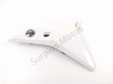 Carenage avant gauche