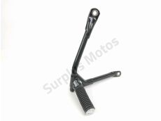 Platine arriere gauche complete