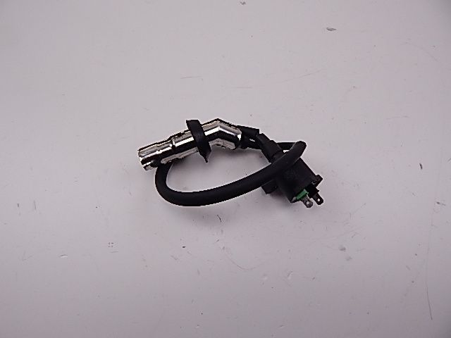 Bobine allumage occasion REVATTO ROMA 2012