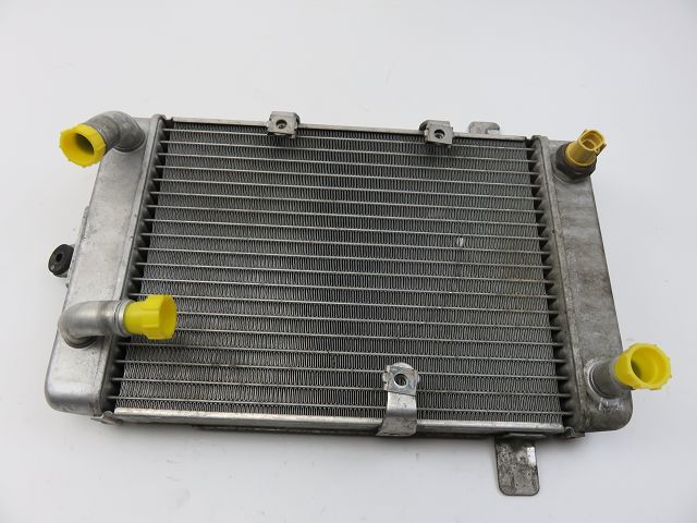 Radiateur eau occasion SUZUKI AN 400 BURGMAN 2003