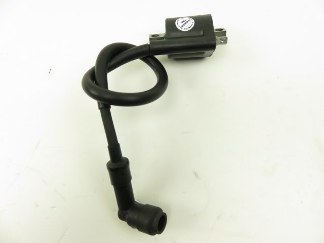 Bobine allumage occasion RIEJU RS SPORT 2016