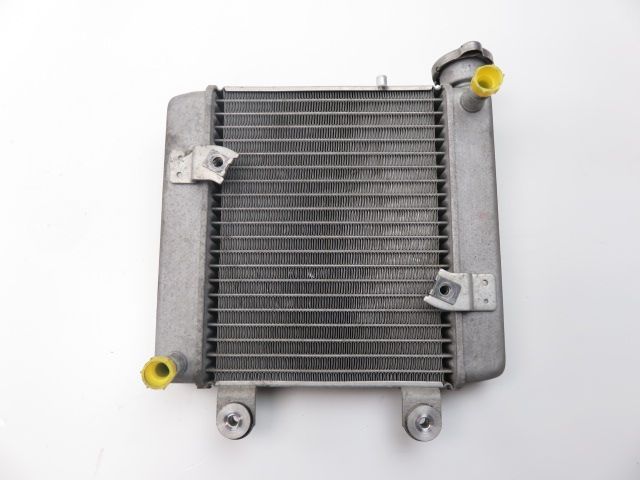 Radiateur eau occasion HONDA FES 125 PANTHEON 2006