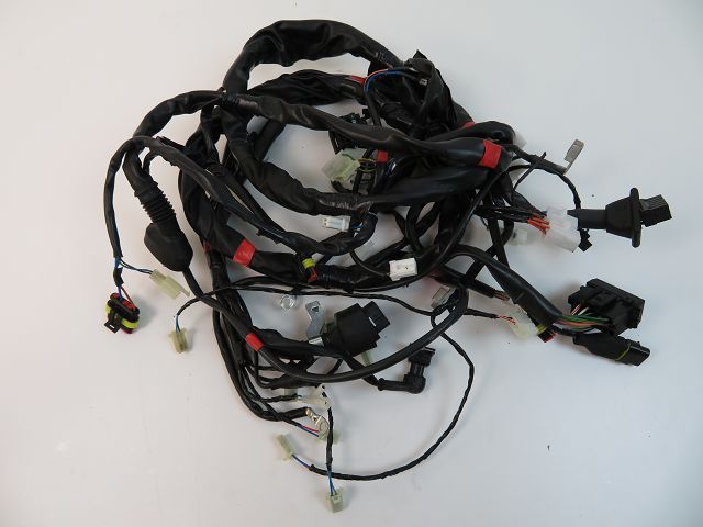 Faisceau electrique occasion APRILIA SCARABEO 2013