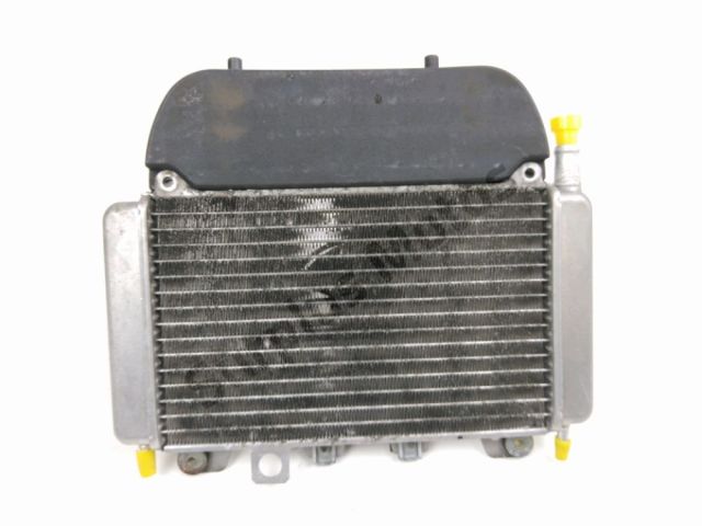 Radiateur eau occasion PIAGGIO X9 125 2004