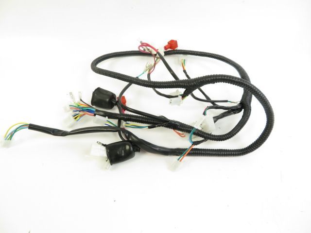 Faisceau electrique occasion TNT ROMA II 2017