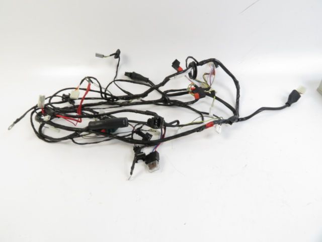 Faisceau electrique occasion REVATTO TURINI 2008