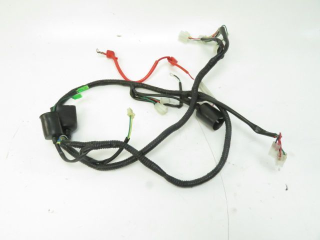 Faisceau electrique occasion SAMPO LY 2010