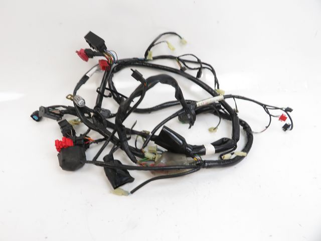 Faisceau electrique occasion HONDA FES 125 PANTHEON 2006