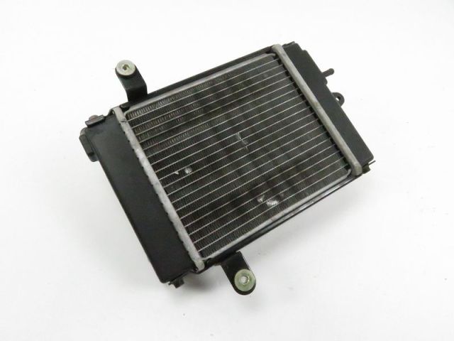 Radiateur eau occasion DAELIM S3 2011