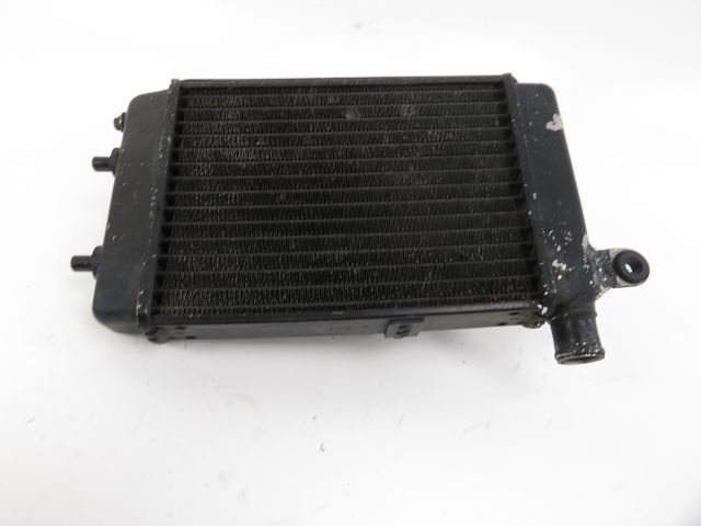 Radiateur eau droit occasion APRILIA TUONO 2004